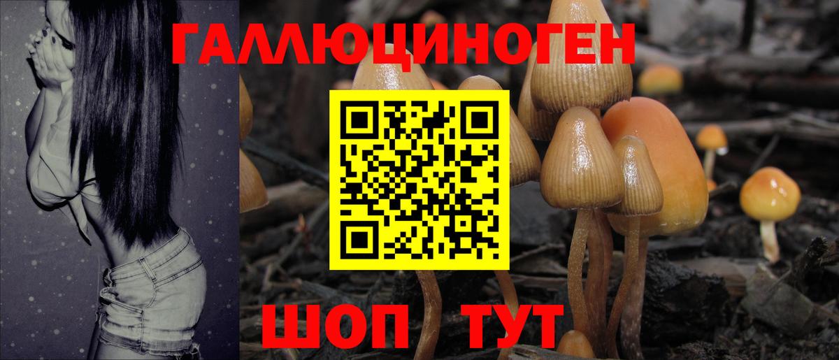 Галлюциногенные грибы Psilocybe Белебей